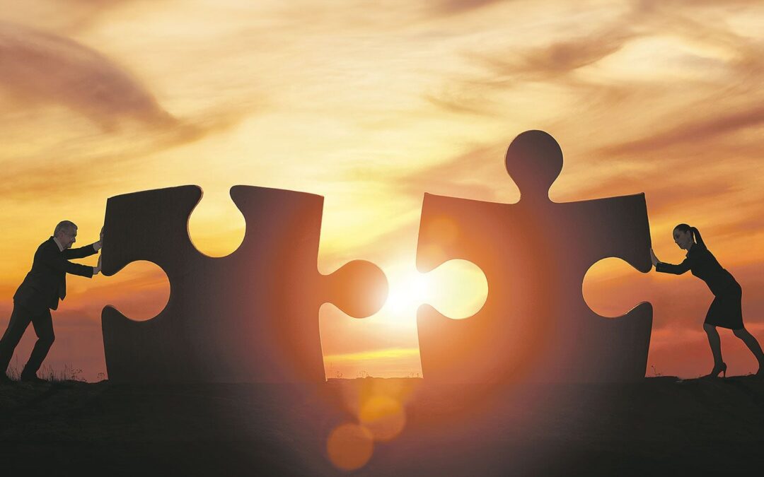 Las piezas del rompecabezas
