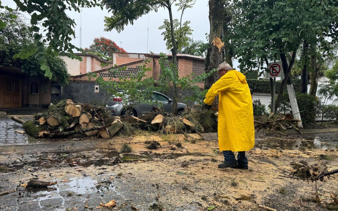 Frente frío 1 y onda tropical 21 dejan ríos desbordados y dos personas muertas