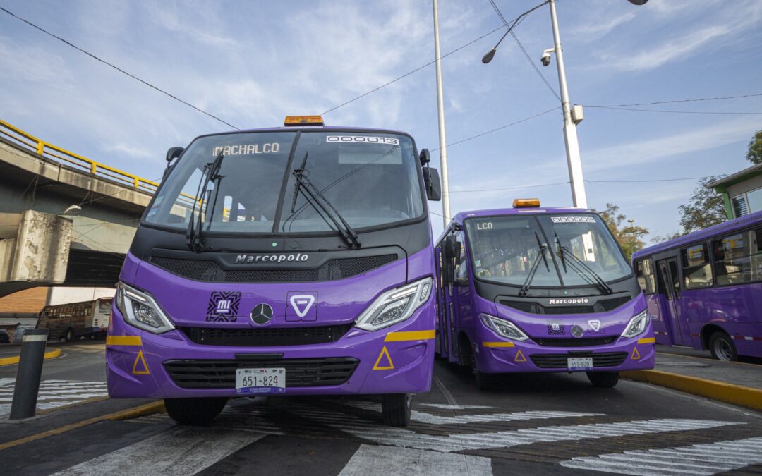 Adiós a los microbuses en CDMX: ¿Cuál será la tarifa de los camiones morados?