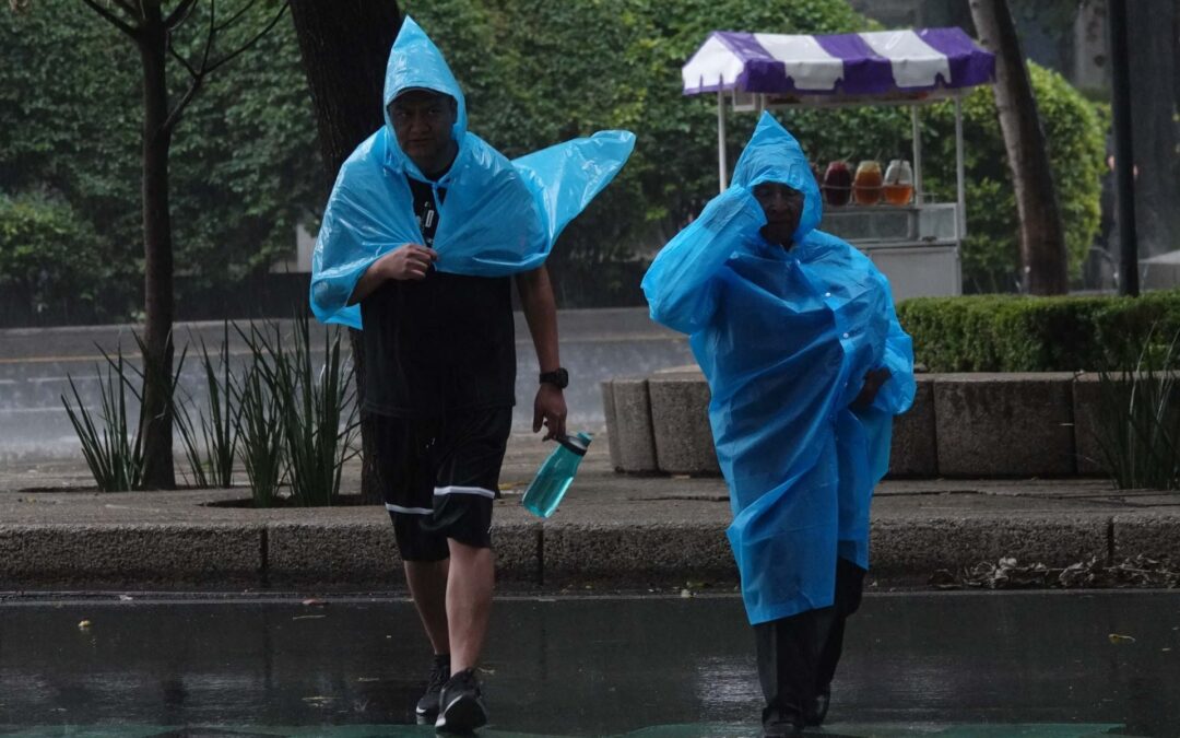 Ponles las ‘botitas’ a las mascotas: Fuertes lluvias para este domingo, Día Mundial del Perro