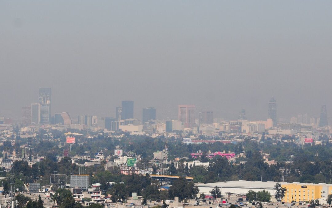 Suspenden contingencia ambiental en Valle de México: Así queda el Hoy No Circula este sábado