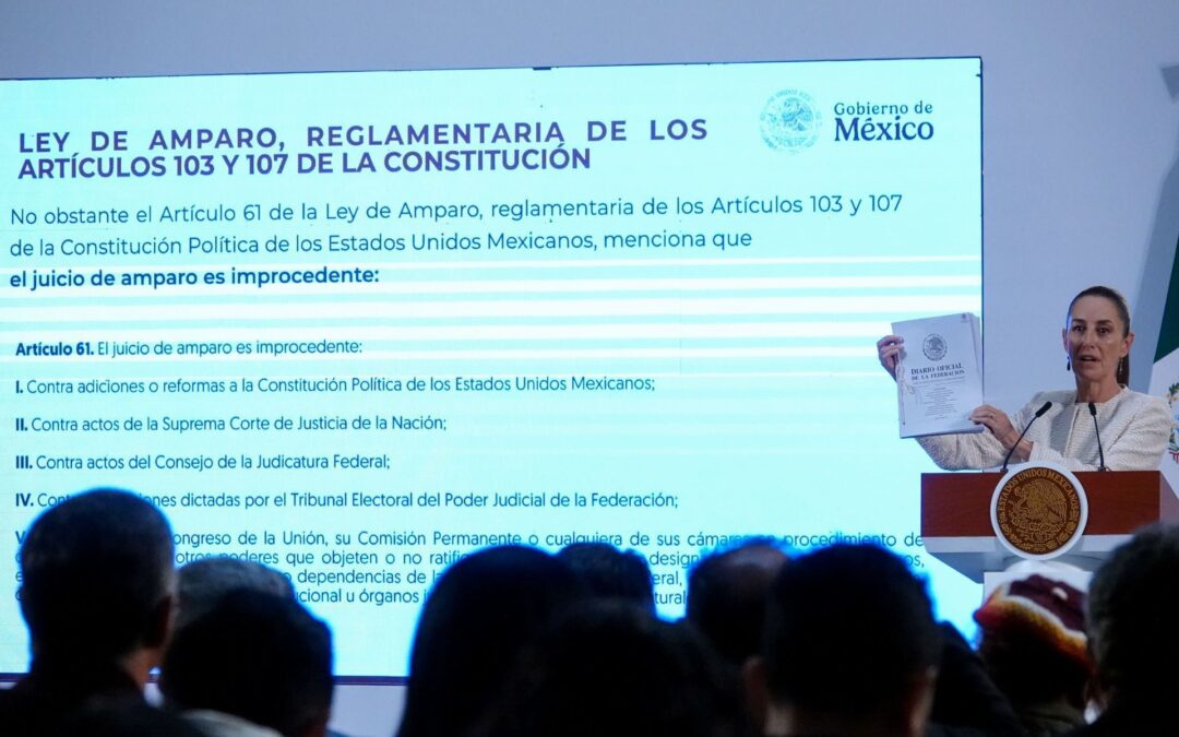 ‘Que Harvard investigue la corrupción en la Suprema Corte’: Sheinbaum responde a burlas por reforma al Poder Judicial