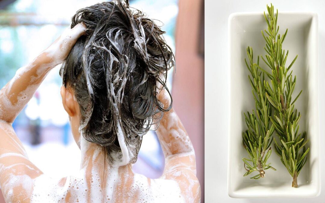 ¿Qué pasa si agrego romero al champú?