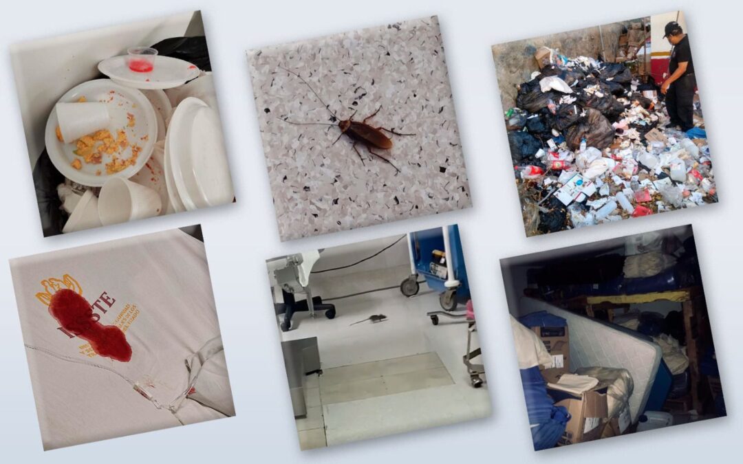 Ratas, cucarachas y hasta mapaches en los quirófanos del ISSSTE