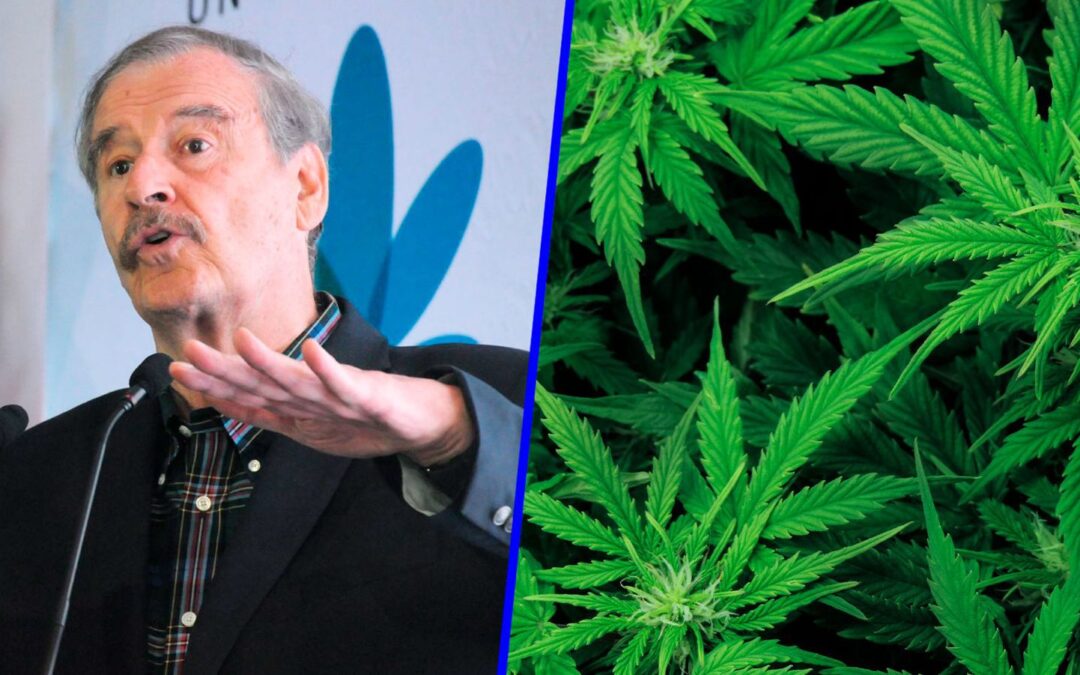 Vicente Fox en defensa de la marihuana: Así inició su lucha por la legalización