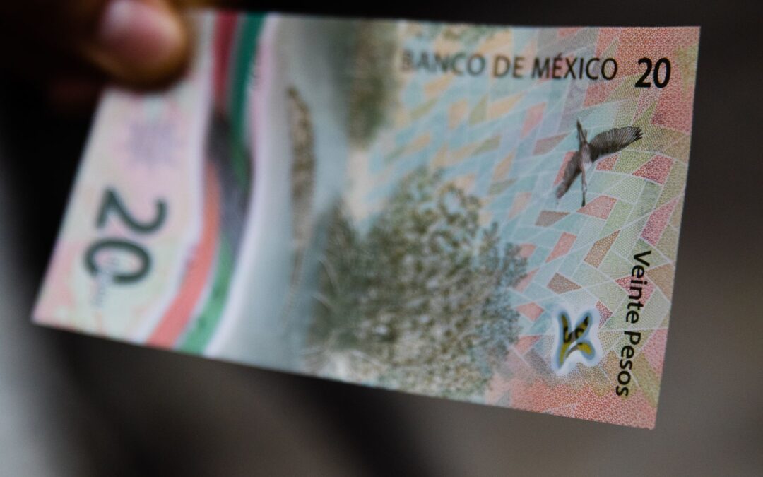 La opciones para Nafin y Bancomext