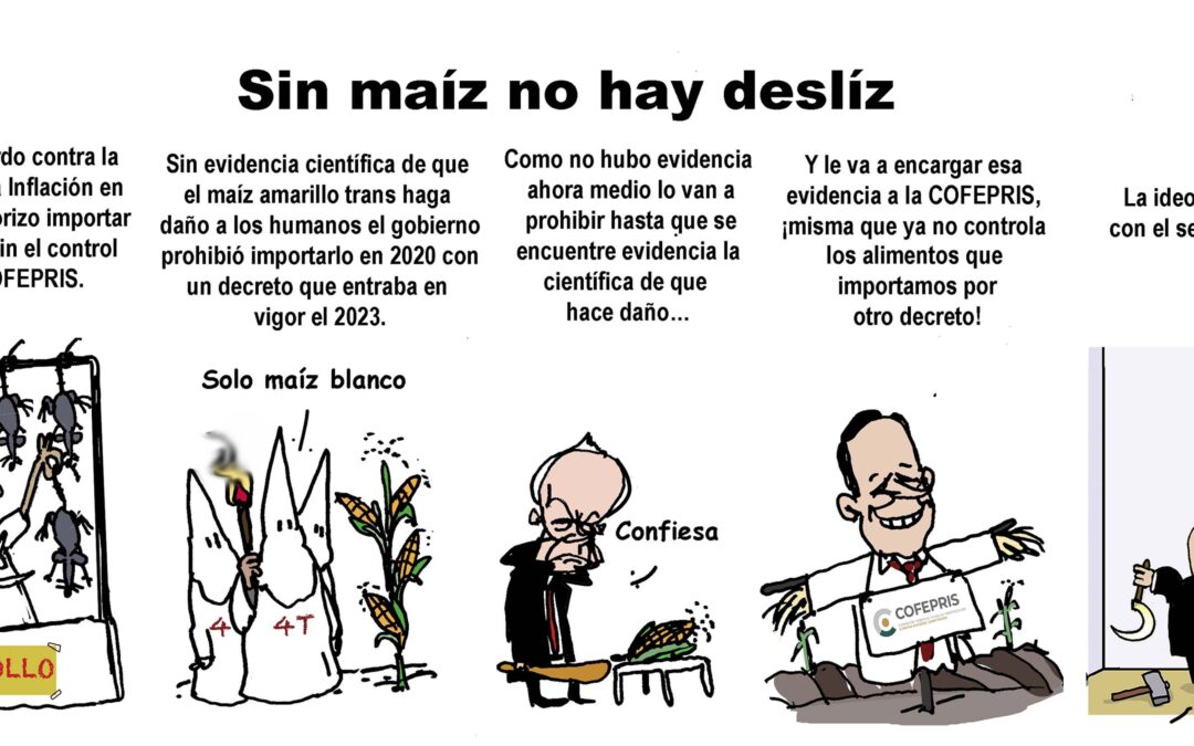 Sin maíz no hay desliz