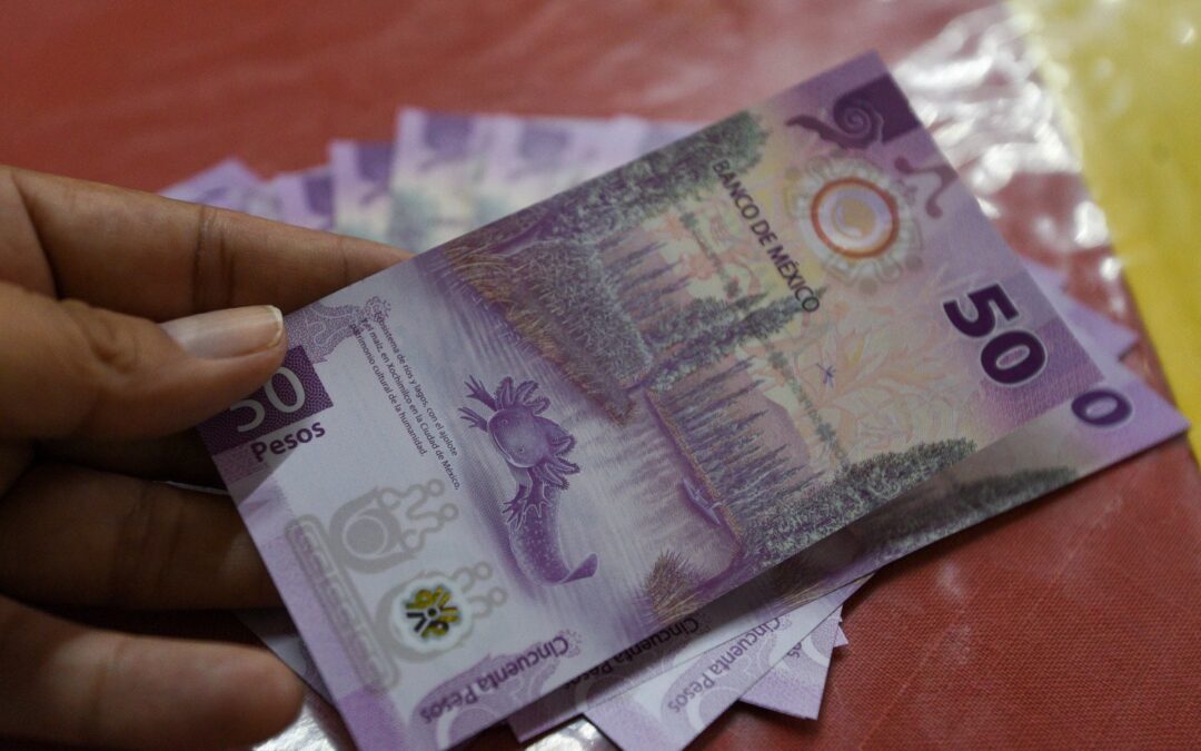 Justicia social y solidez económica