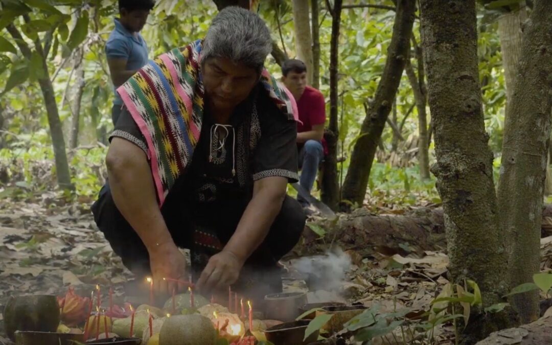 ‘Semilla de Fuego’, documental sobre el cacao, se presentará en el FICUNAM 2023