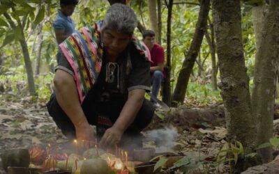 ‘Semilla de Fuego’, documental sobre el cacao, se presentará en el FICUNAM 2023