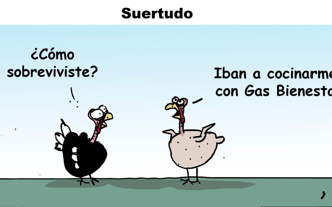 Suertudo
