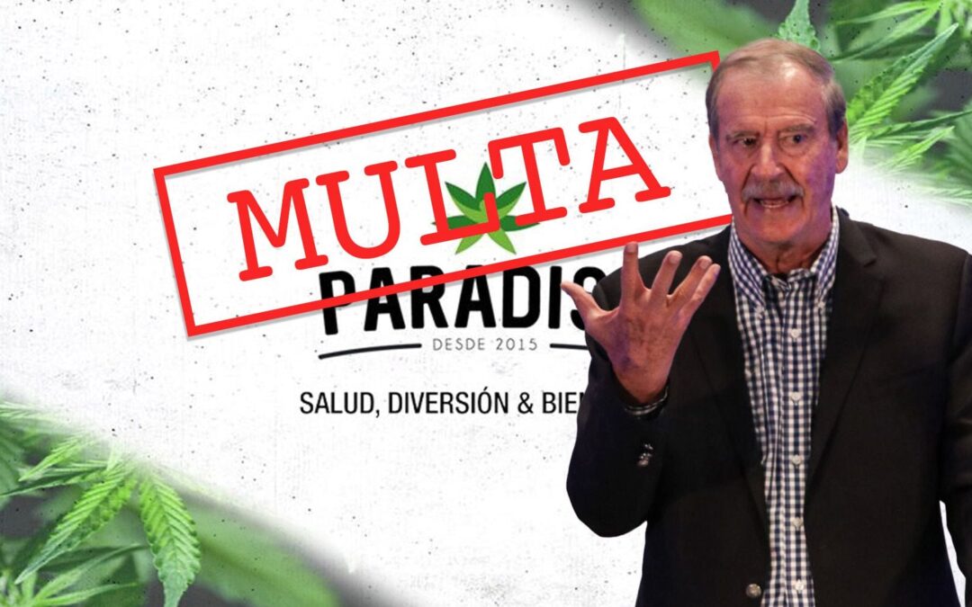 Sheinbaum critica la empresa de CBD de Fox: ‘Cualquier sustancia no reconocidas por Cofepris es sancionada’