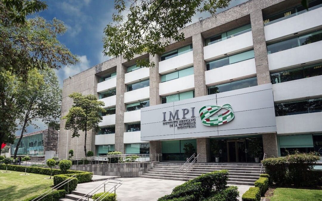 La persona titular de la Dirección General del IMPI