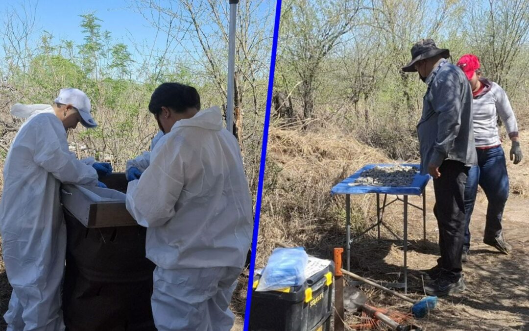 ¿Campo de exterminio en Reynosa? Fiscalía de Tamaulipas asegura que es una funeraria en obra negra