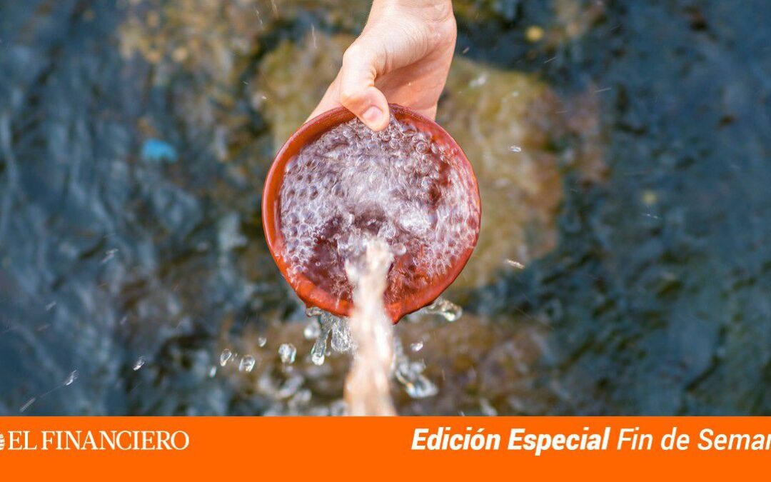 La vital importancia del agua