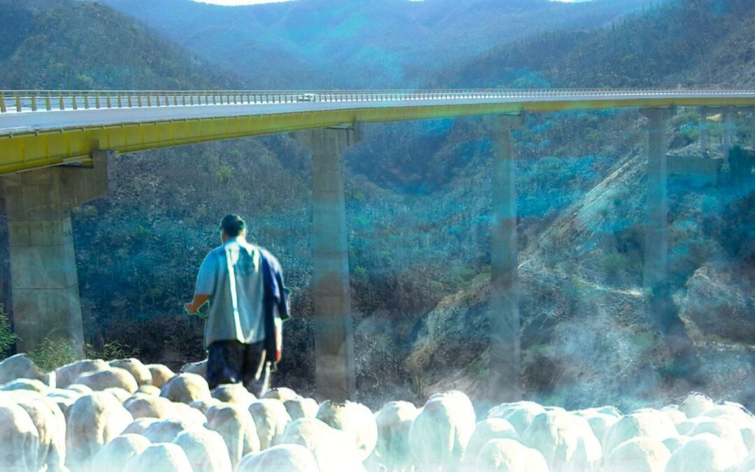 ¿Se aparece el chamuco? Esta es la historia ‘maldita’ del Puente Calapa, en la carretera Cuacnopalan-Oaxaca