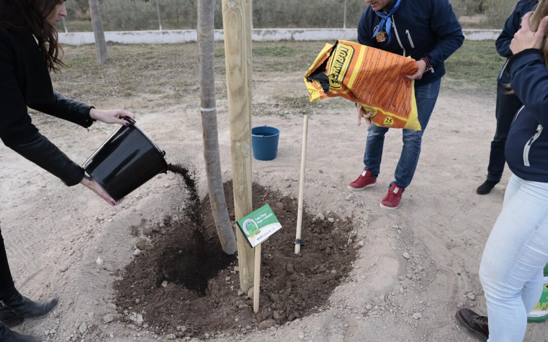 Nuestra responsabilidad ante la ecología