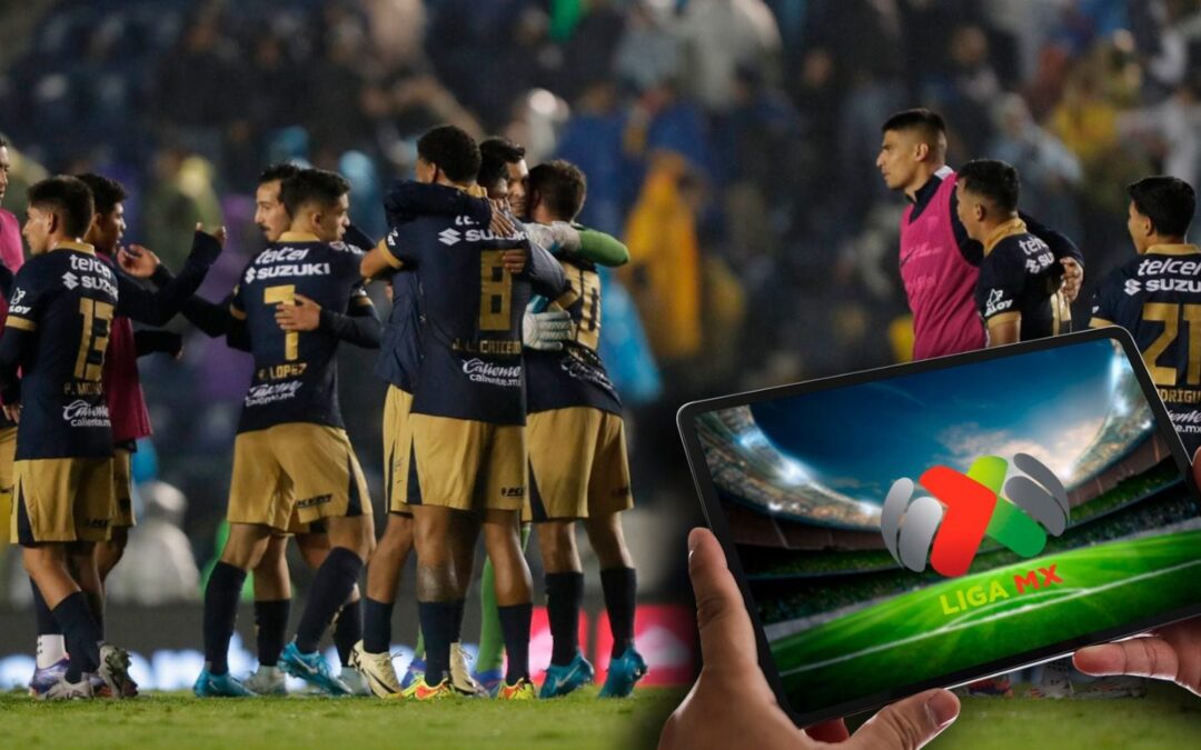 Jornada 16 de la Liga MX: ¿Quién juega HOY martes 5 de noviembre y dónde ver EN VIVO el Apertura 2024?