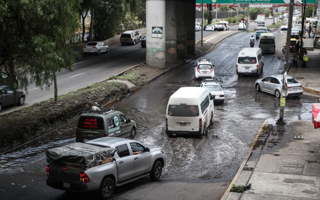 Muévete en bici: Hoy No Circula para este lunes 12 de agosto en CDMX y Edomex