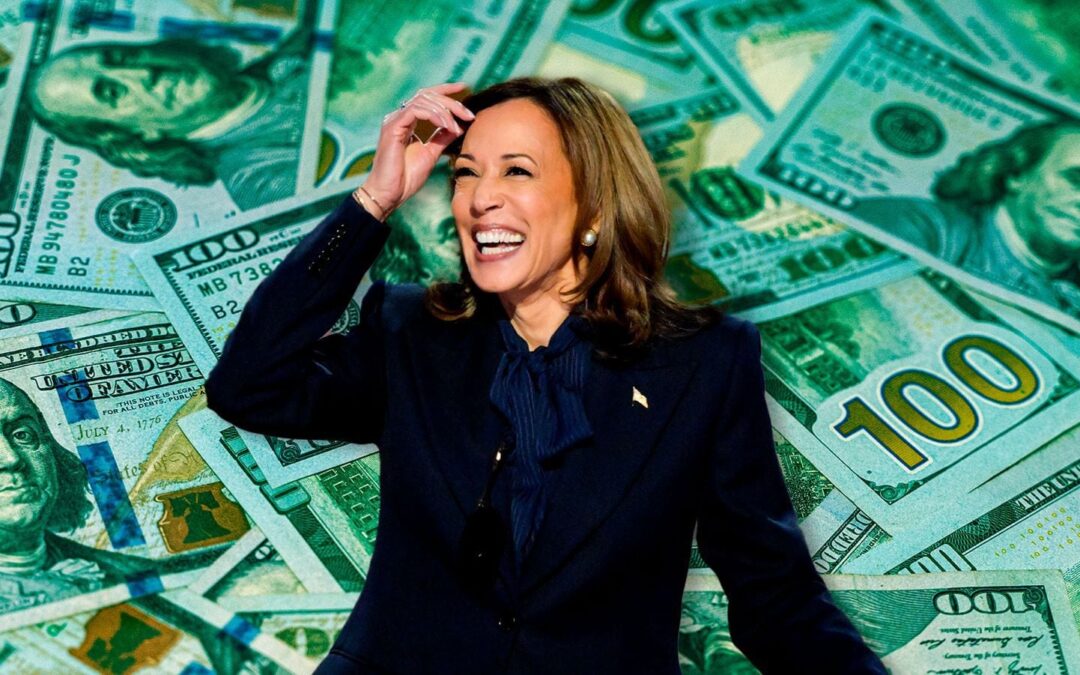 Elecciones presidenciales en EU 2024: ¿A cuánto asciende la fortuna de Kamala Harris? Esto sabemos