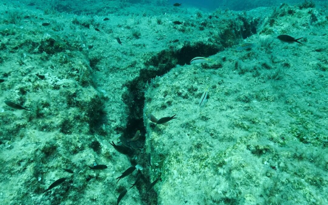 ¿Fuga en el fondo del océano puede provocar un ‘megaterremoto’? Esto dicen expertos