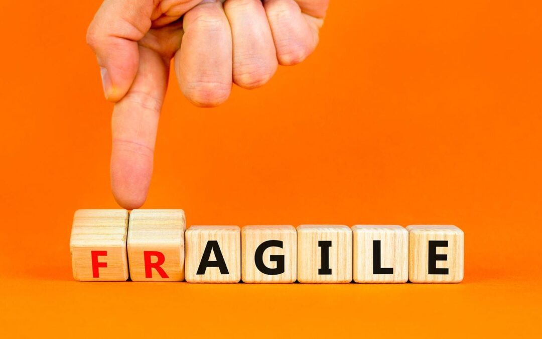 Instituciones débiles, sociedad frágil