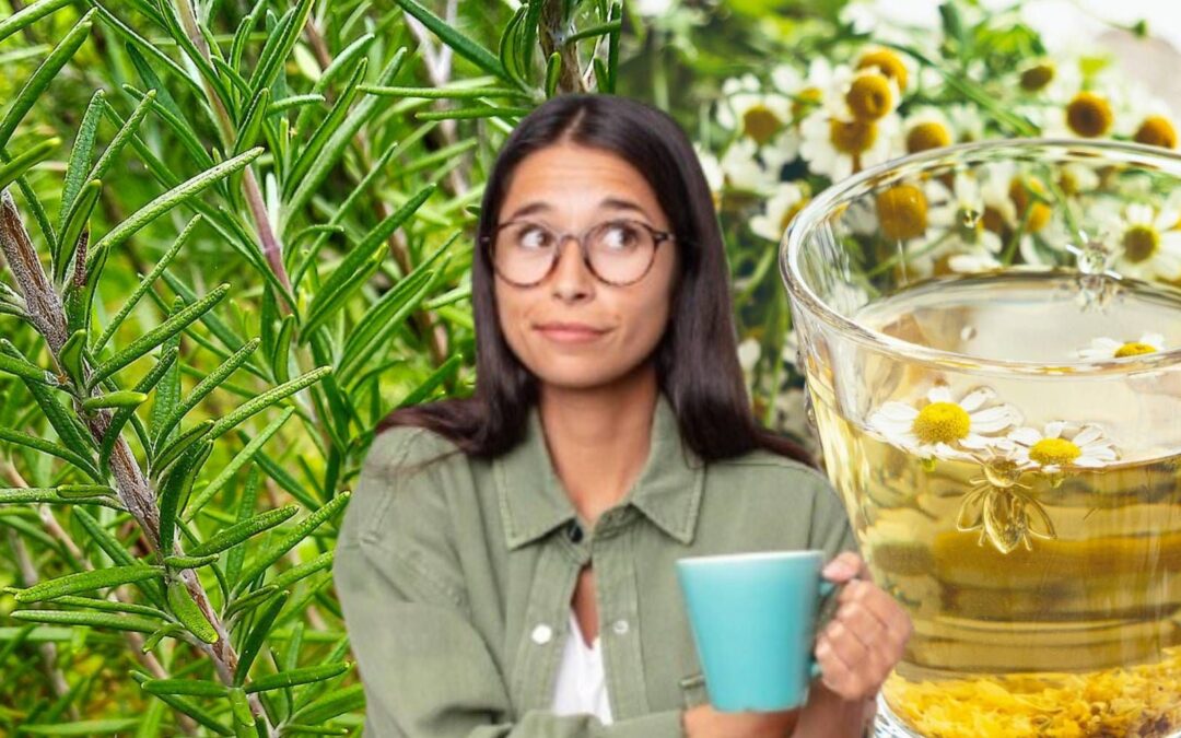 ¿Qué beneficios tiene el romero con manzanilla en la noche?