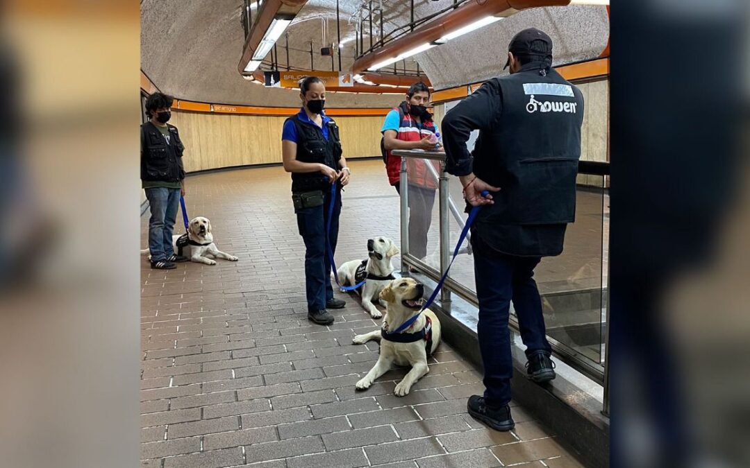 Metro de la CDMX: ¿Puedo viajar con mi perro guía? Esto dice la ley