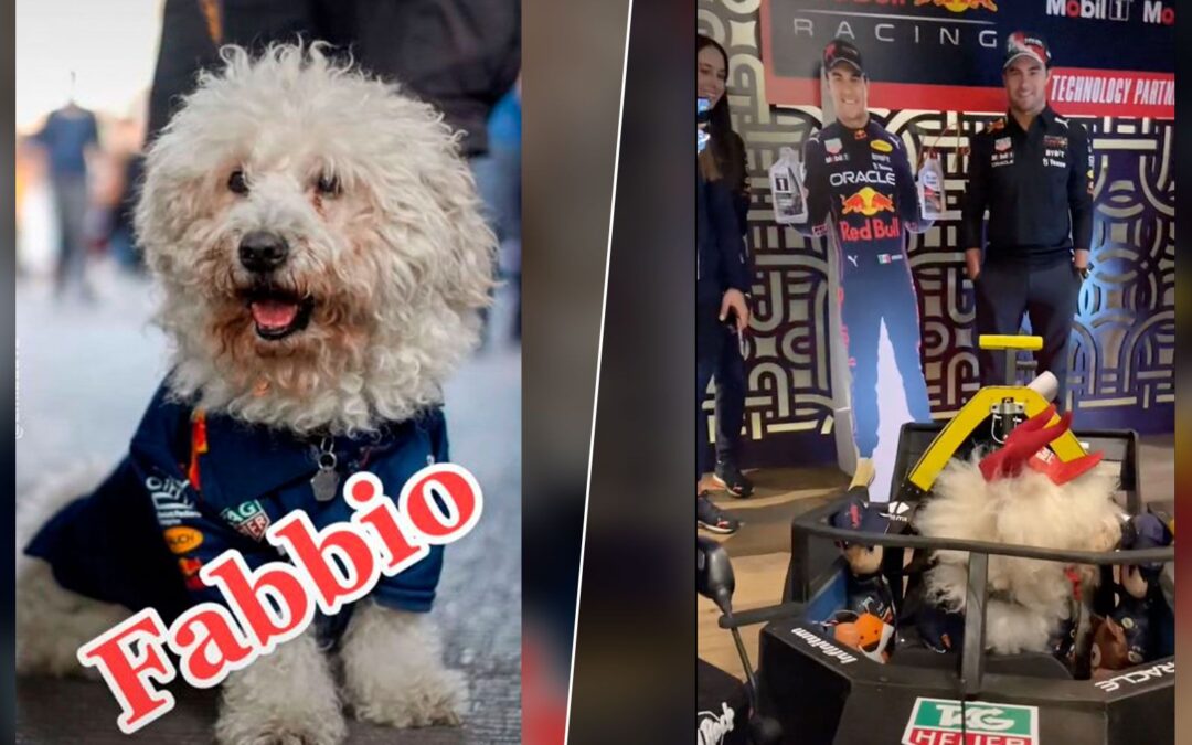 Jorge y Fabbio, perrito ‘Checo’ Pérez, conocieron al piloto mexicano previo al GP de México