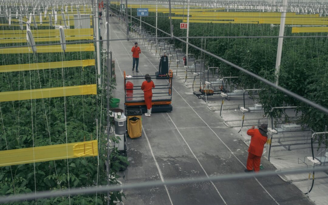 Costaría 200 mil mdd no resolver desafíos por ‘nearshoring’