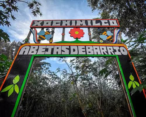 ¿Qué hacer en Xochimilco? Algunos tips