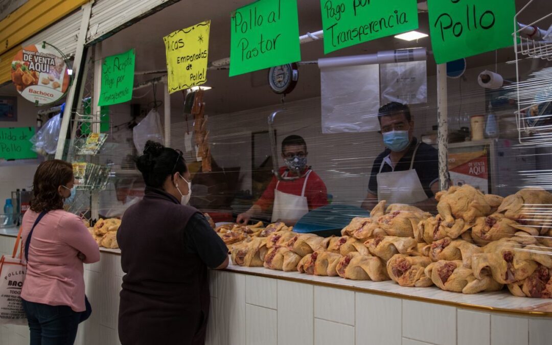 ¿Cómo influye la influenza aviar AH5N1 en el precio del pollo?