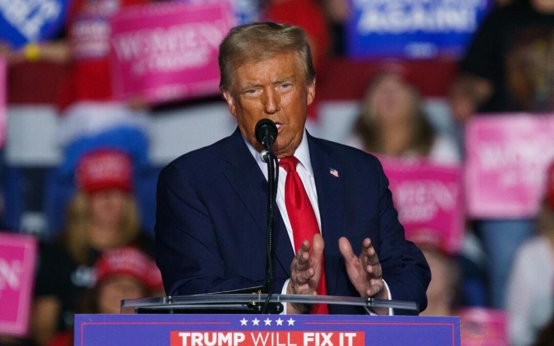De Elon Musk a  Robert F. Kennedy Jr: ¿Quiénes suenan para formar el gabinete de Donald Trump?