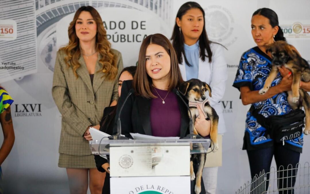 Van por arresto en caso de maltrato animal: Morena propone iniciativa para proteger a las mascotas