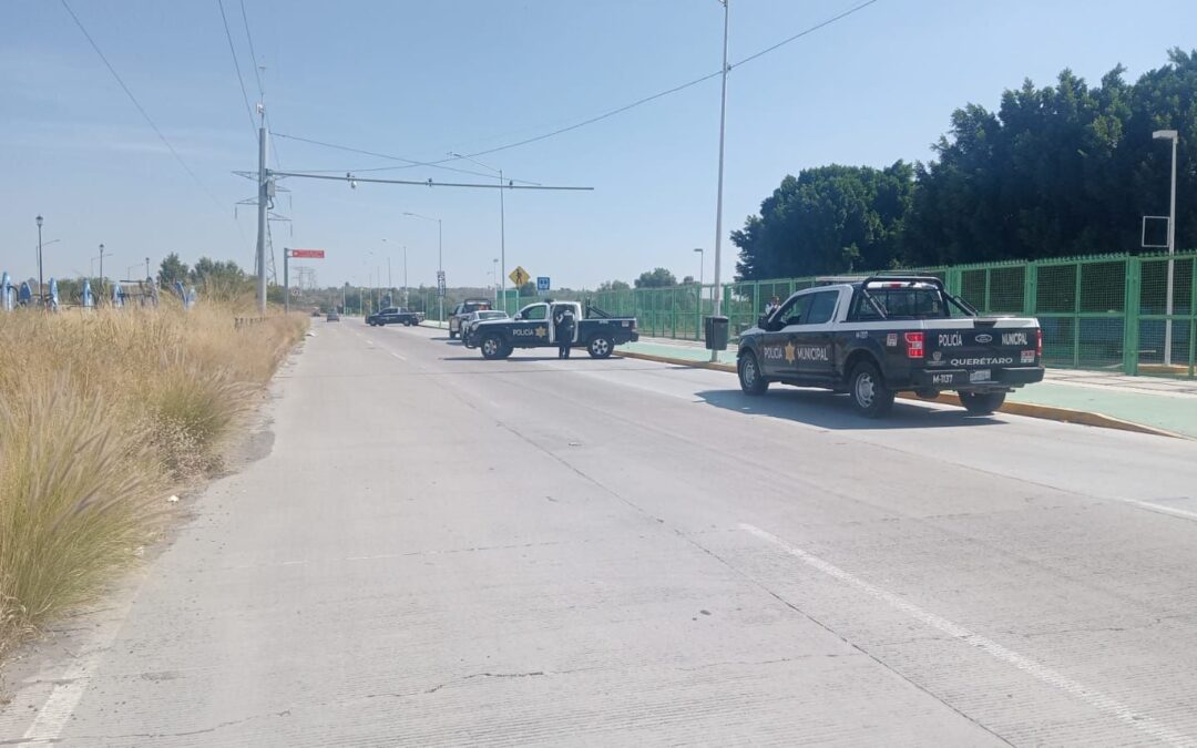 Querétaro se aleja de la paz: Incrementa la ola de violencia en los últimos dos meses