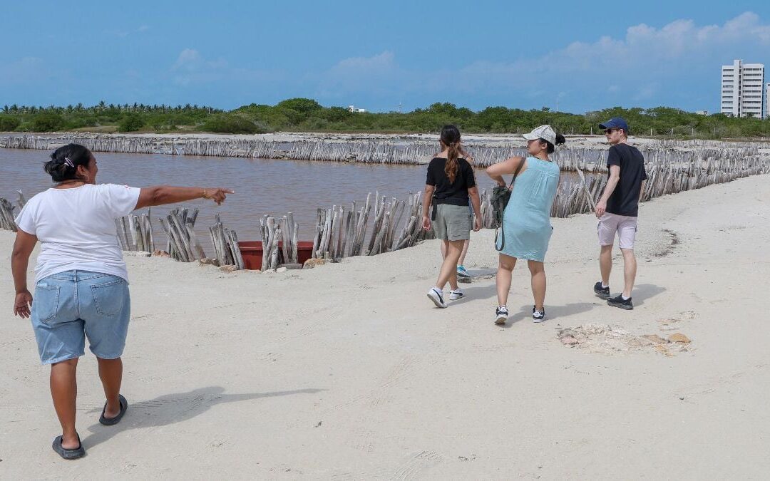 Yucatán alerta por deforestación acelerada de manglares; pobladores denuncian ecocidio