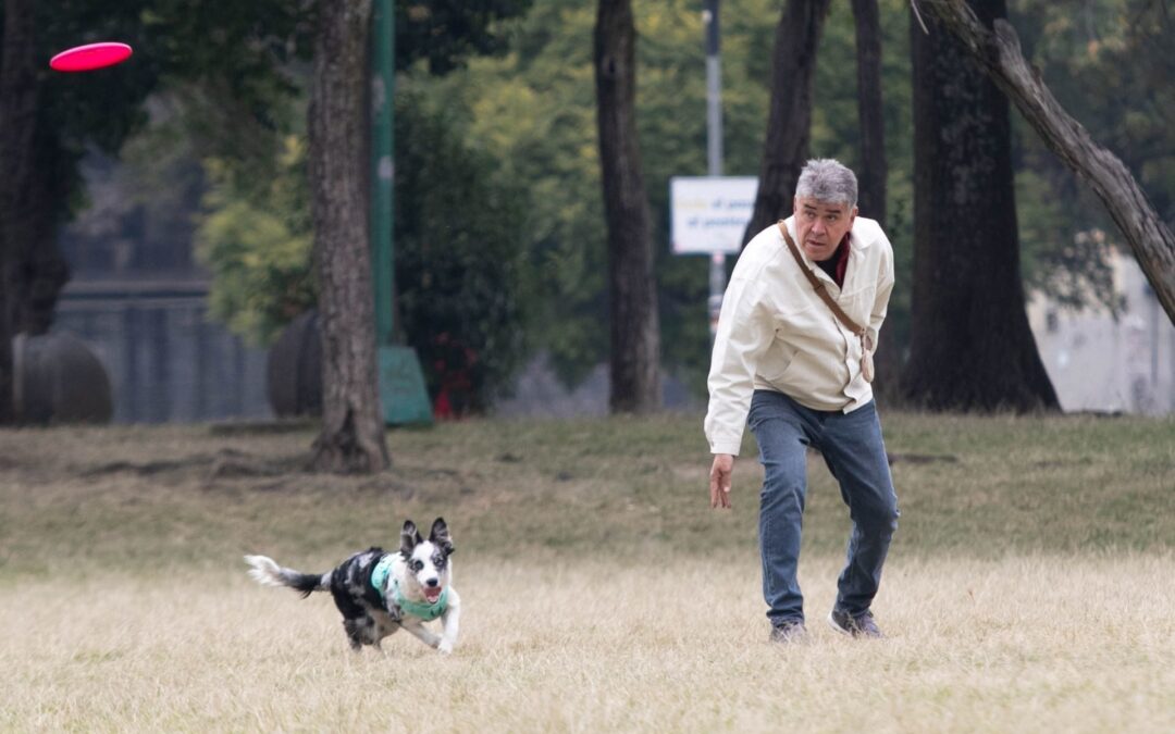 Día Mundial del Perro: ¿Por qué los ‘lomitos’ se hicieron nuestros mejores amigos?