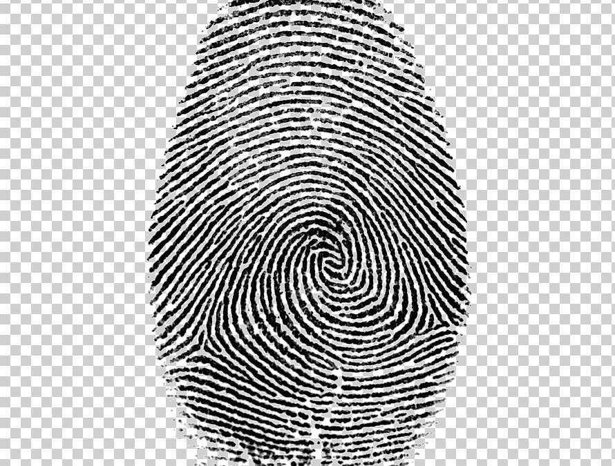 Es oficial: El INAI impugnará el padrón de datos biométricos (PANAUT) ante la Suprema Corte en México